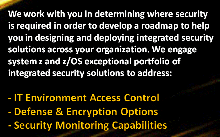 IT bizVelocity Enterprise IT Security